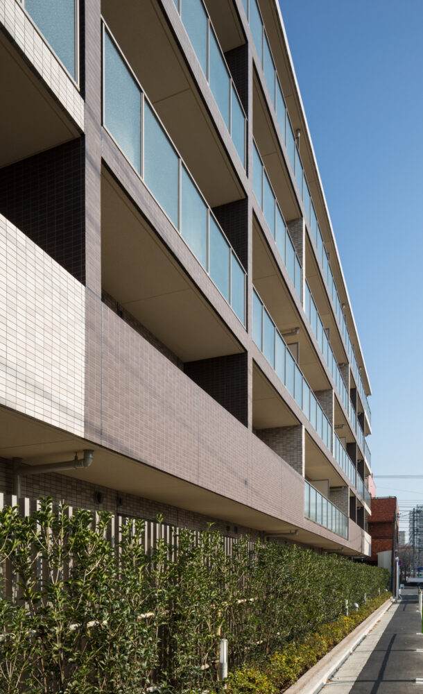 光が丘プロジェクト