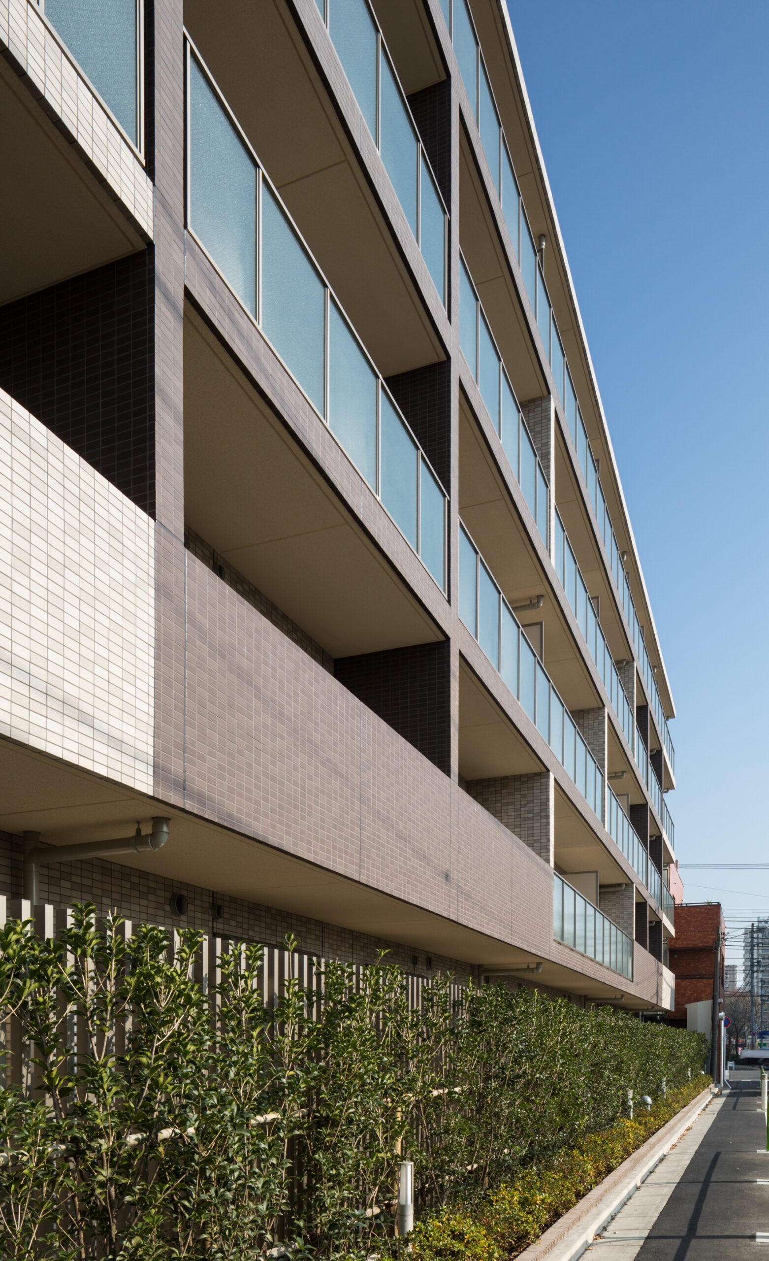 光が丘プロジェクト