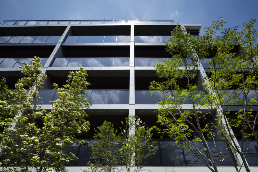 松原プロジェクト