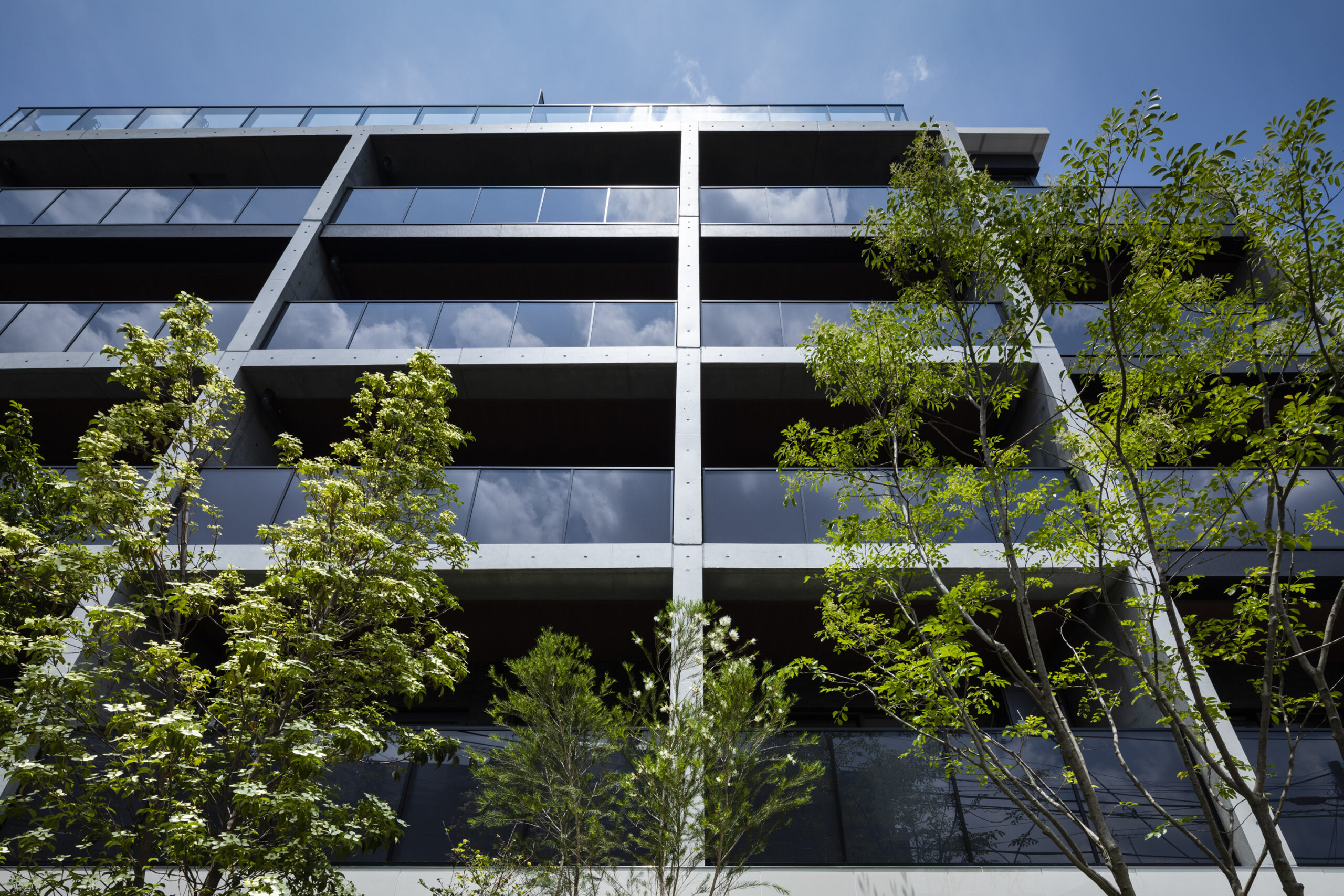 松原プロジェクト