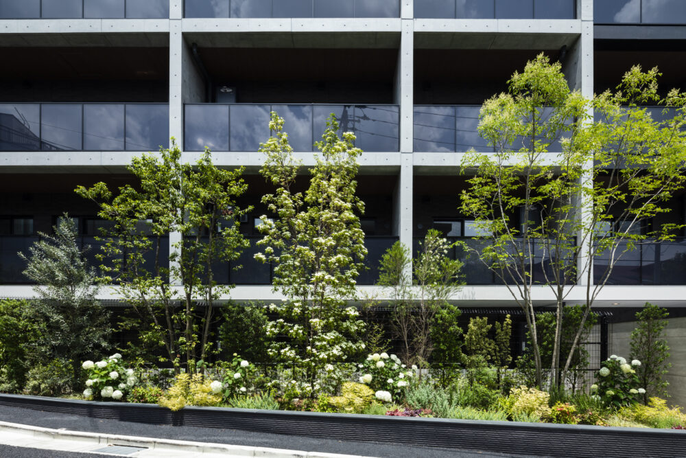 松原プロジェクト