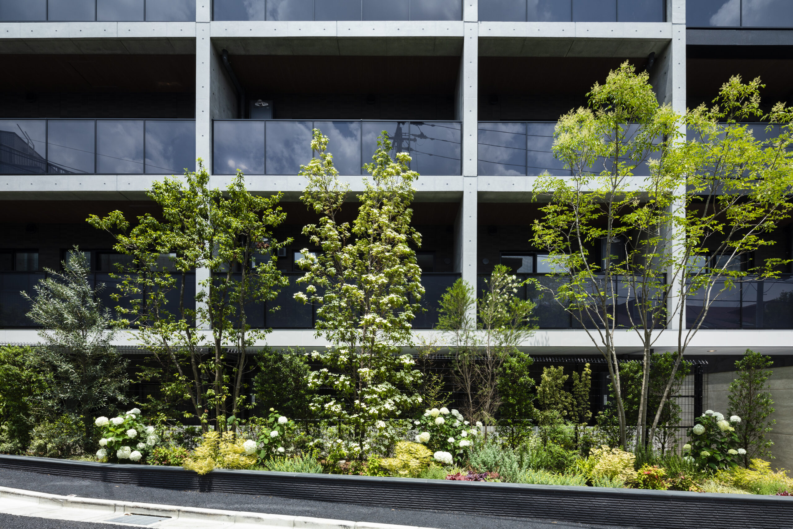 松原プロジェクト