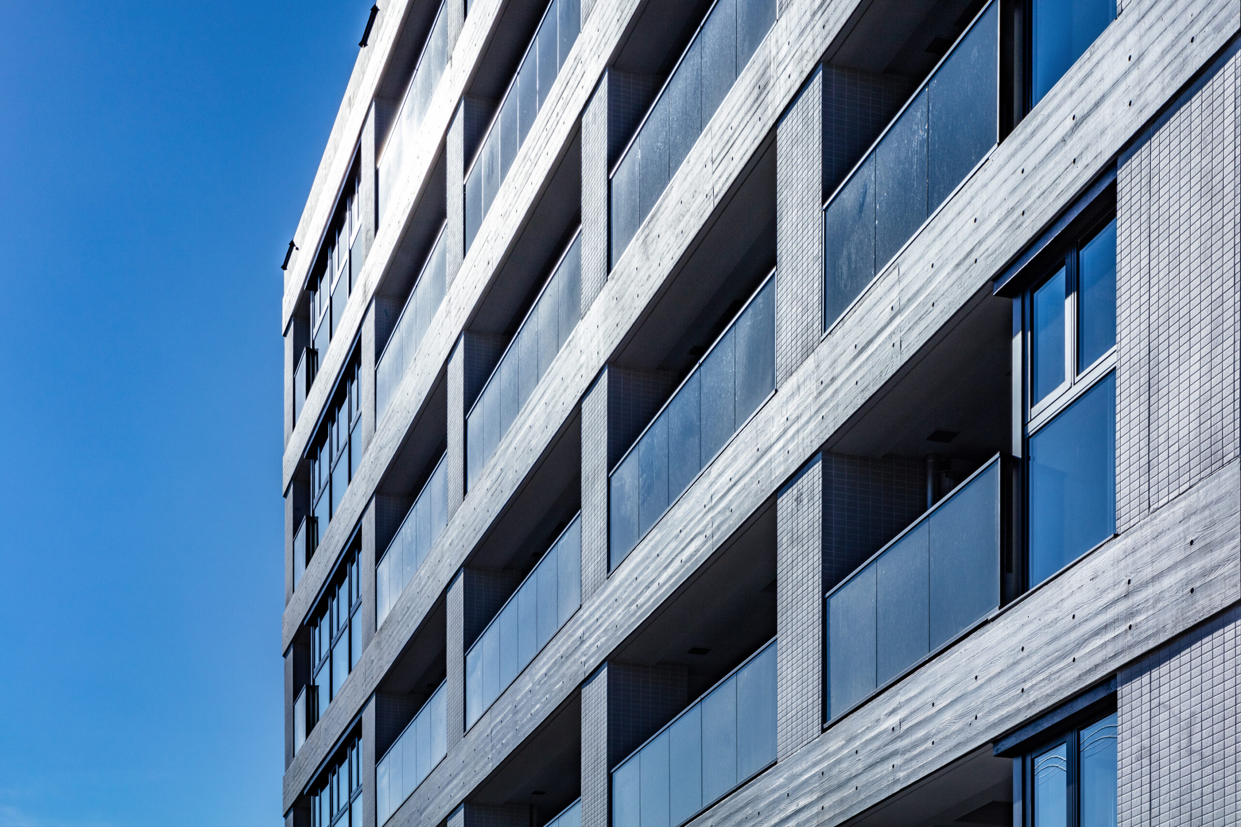 中延プロジェクト