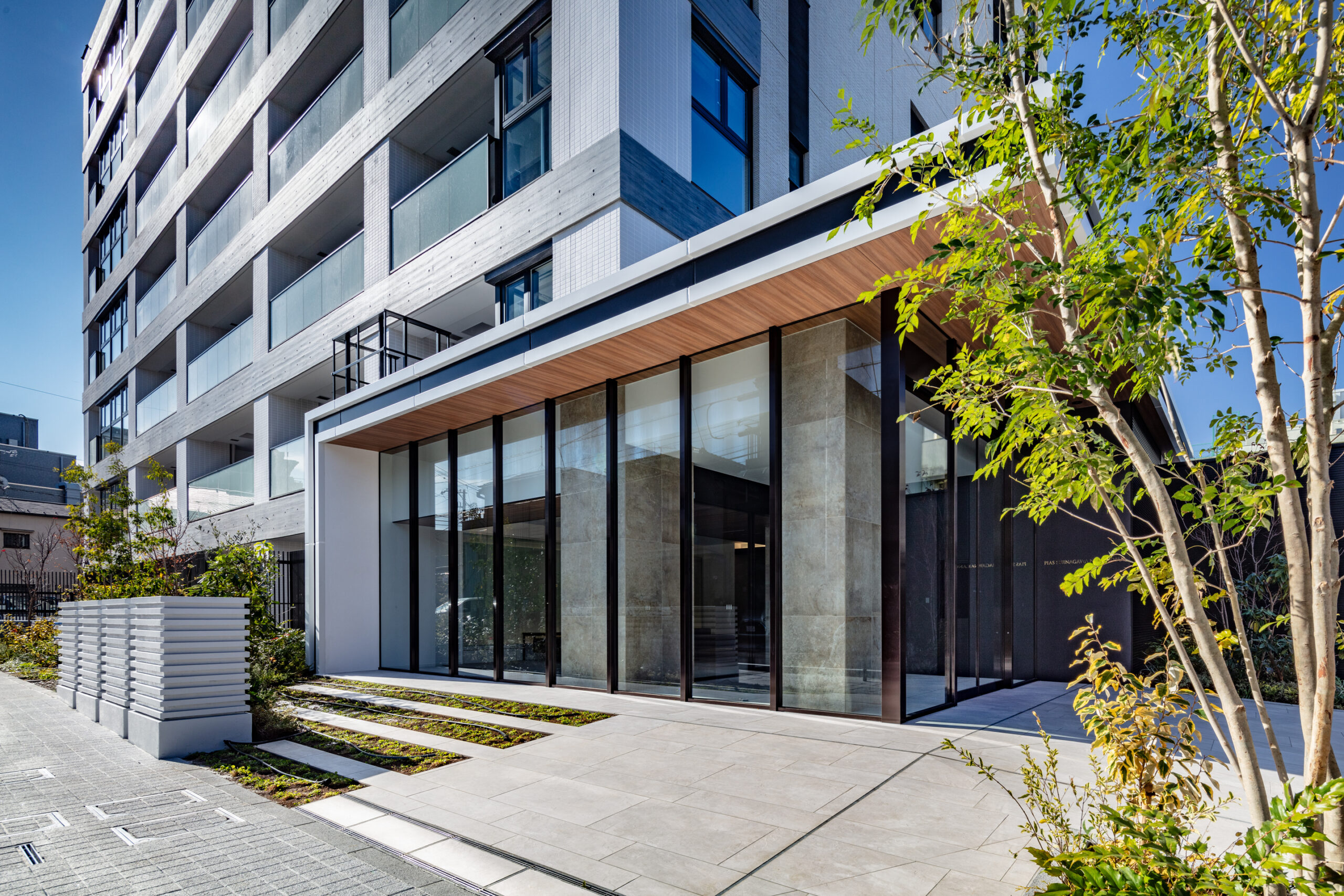 中延プロジェクト