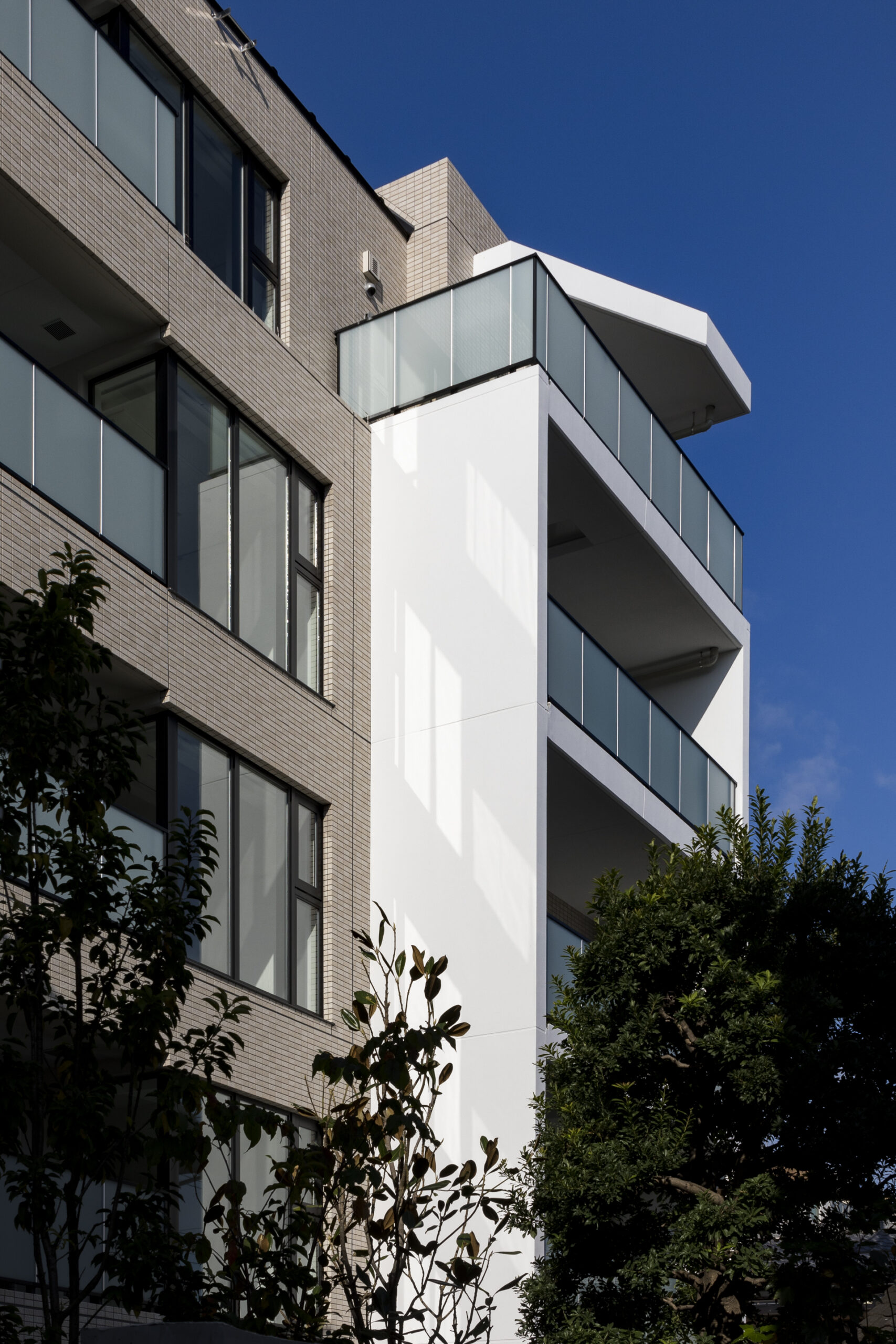 桜新町プロジェクト