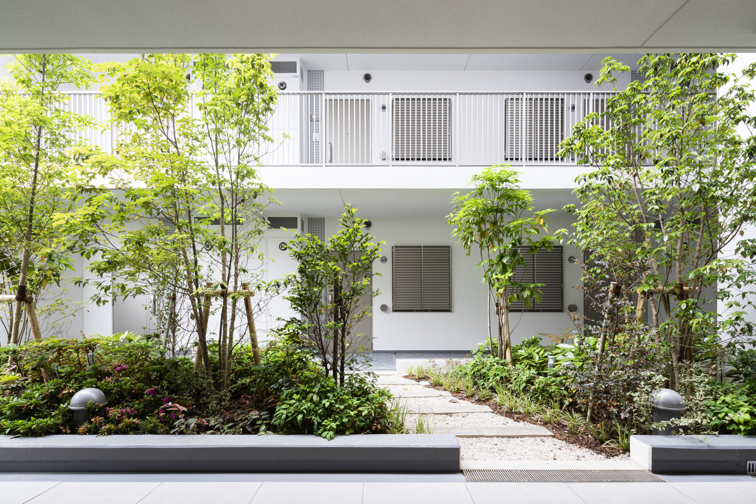 ⽴花プロジェクト