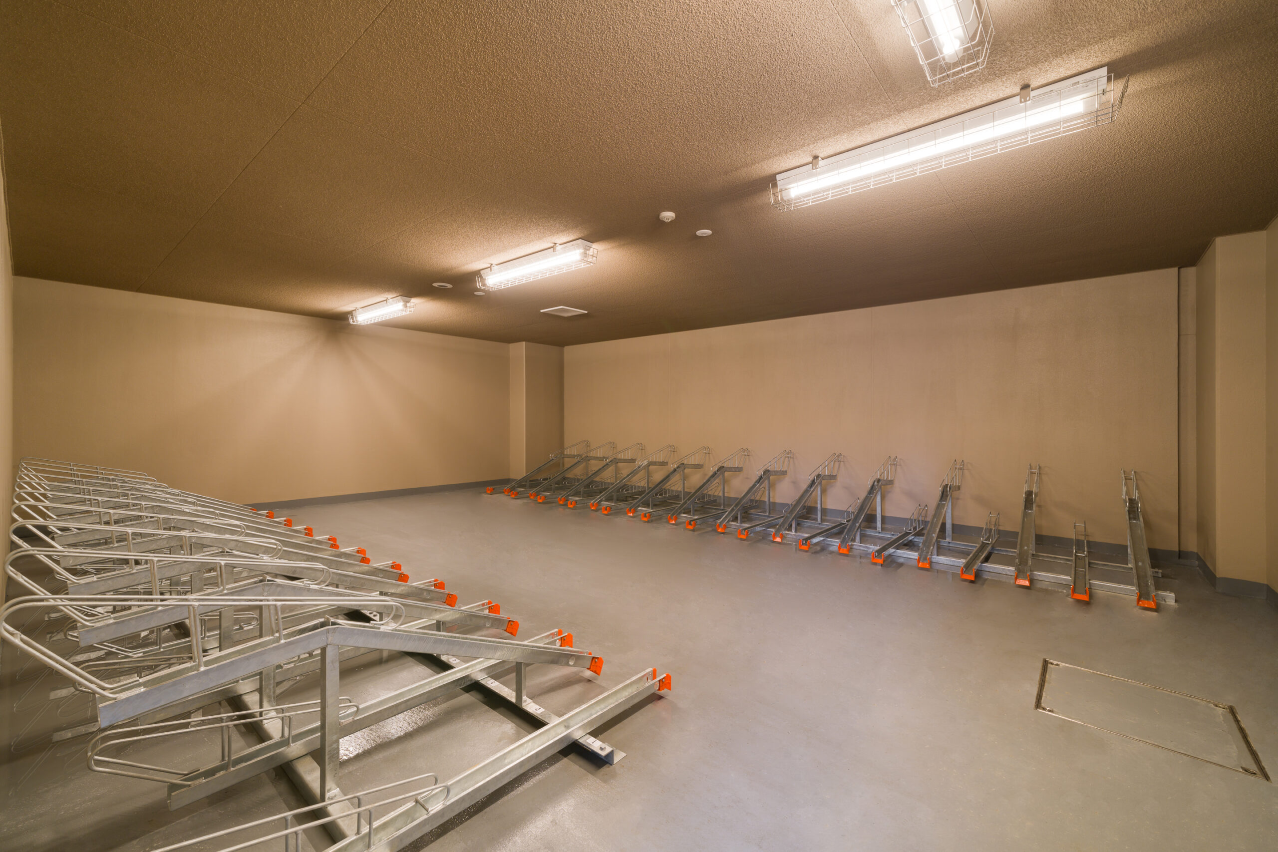 松戸プロジェクト