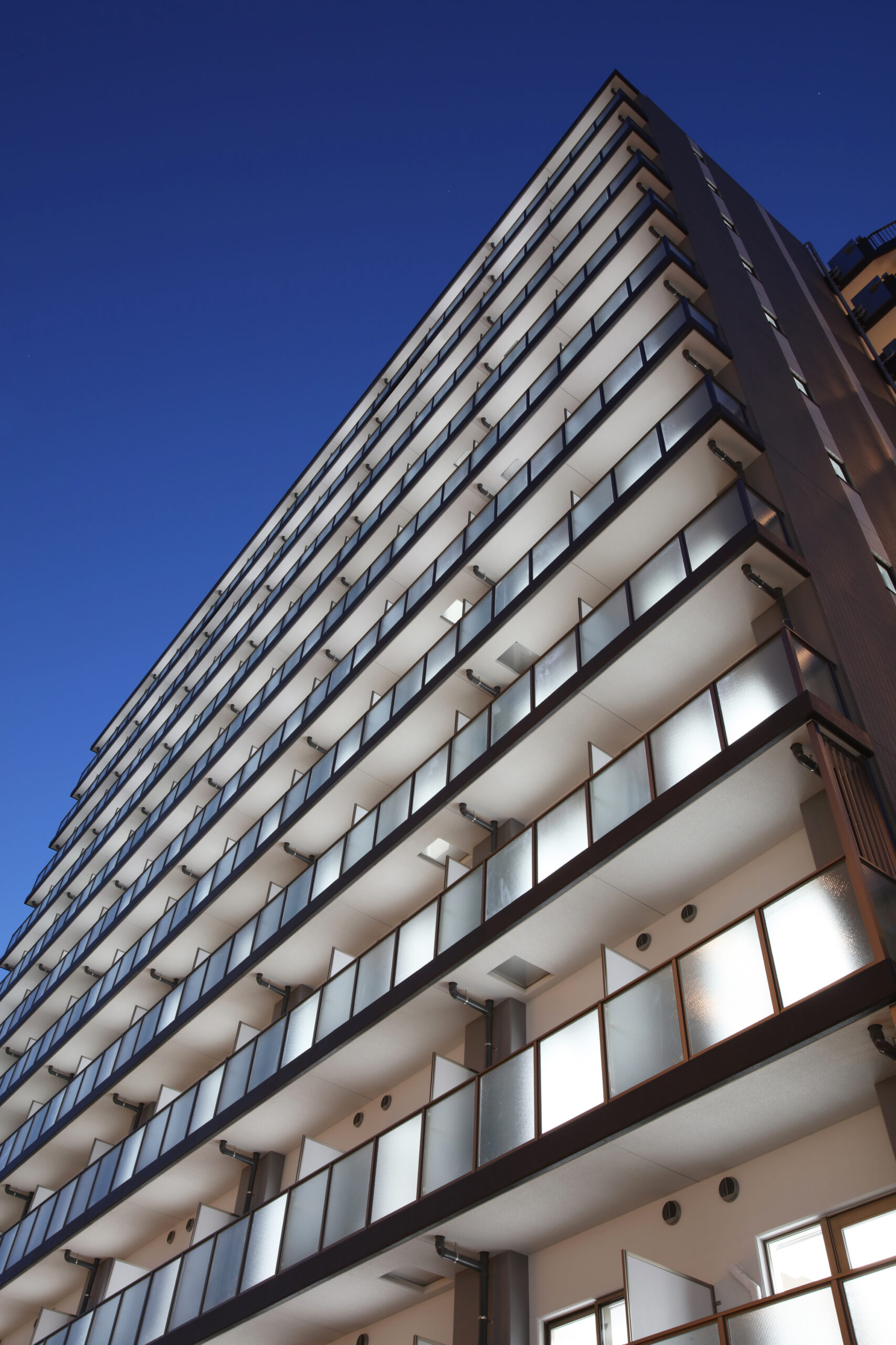 秦野プロジェクト