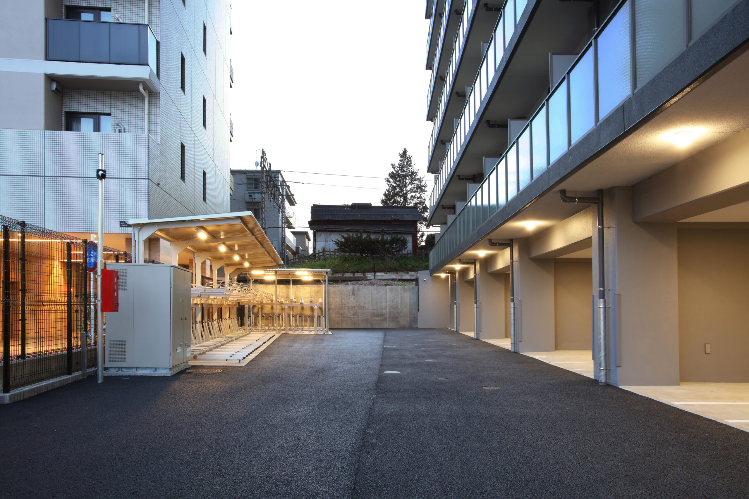 秦野プロジェクト