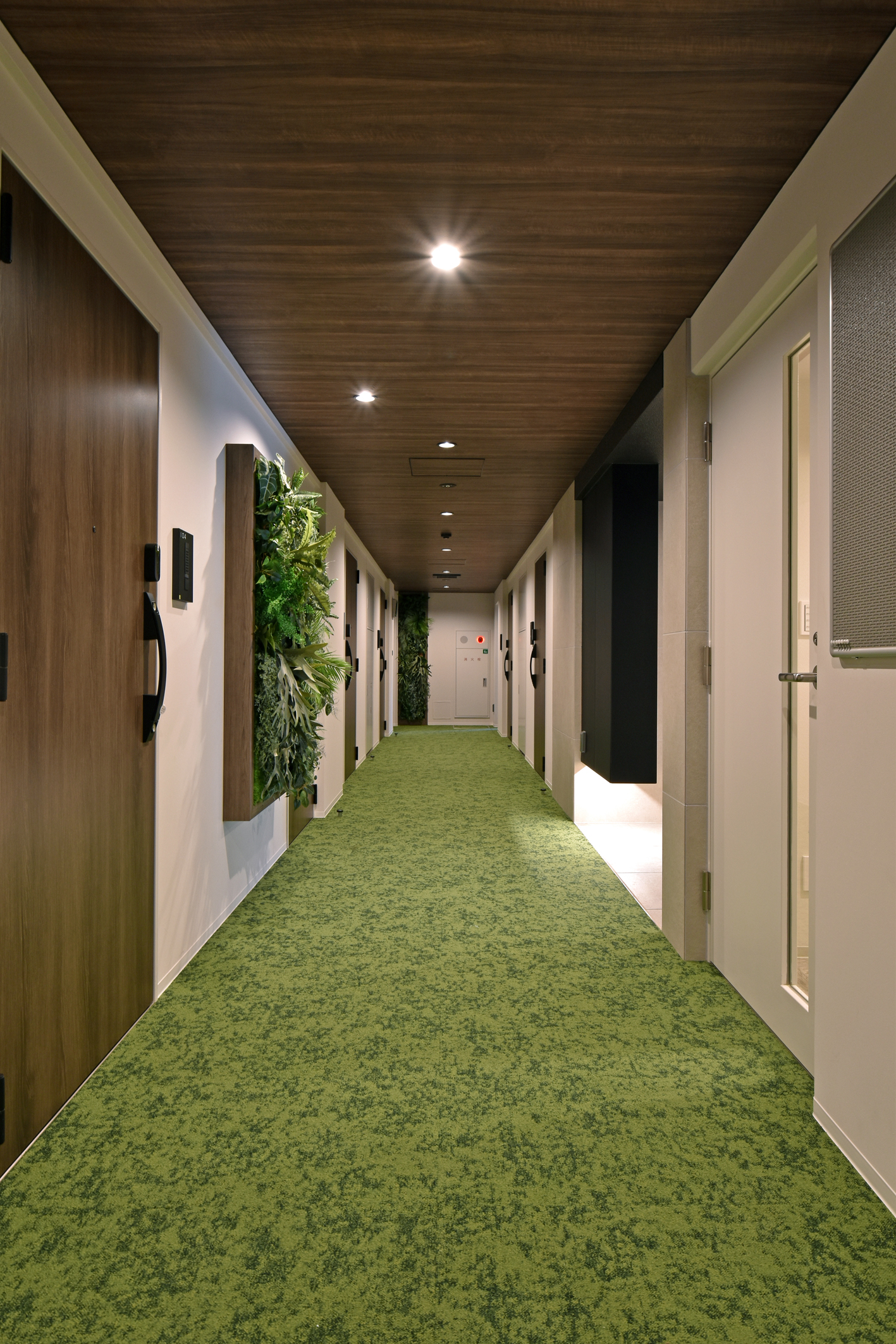 森下プロジェクト