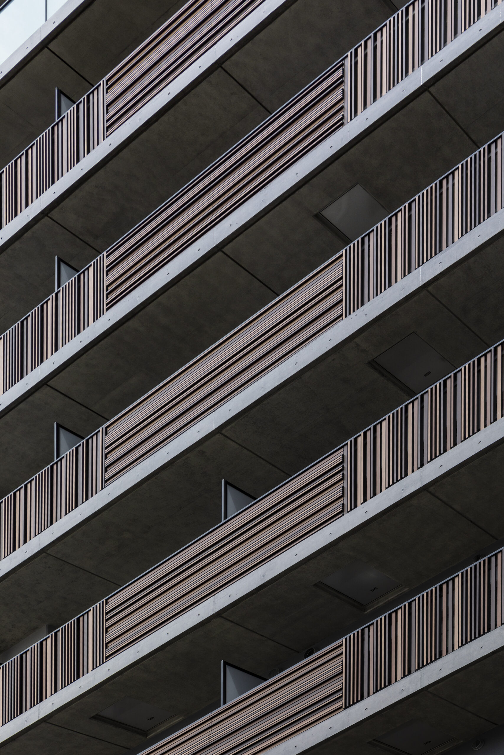 本所プロジェクト